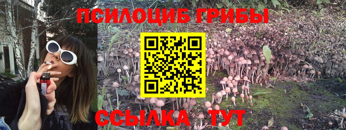 Шебекино  Галлюциногенные грибы мухоморы  Псилоцибиновые грибы мухоморы  Вход с VPN 